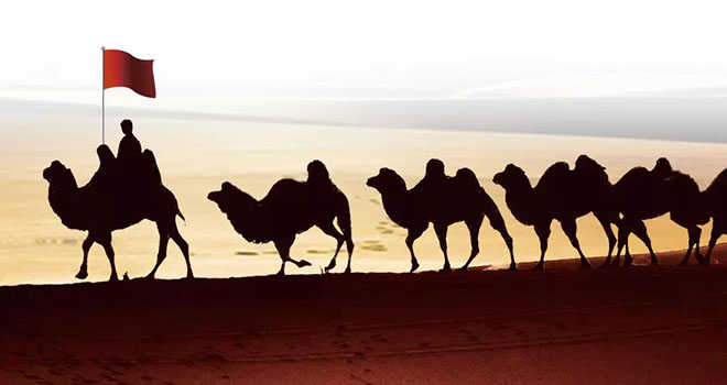 关于东升国际官网